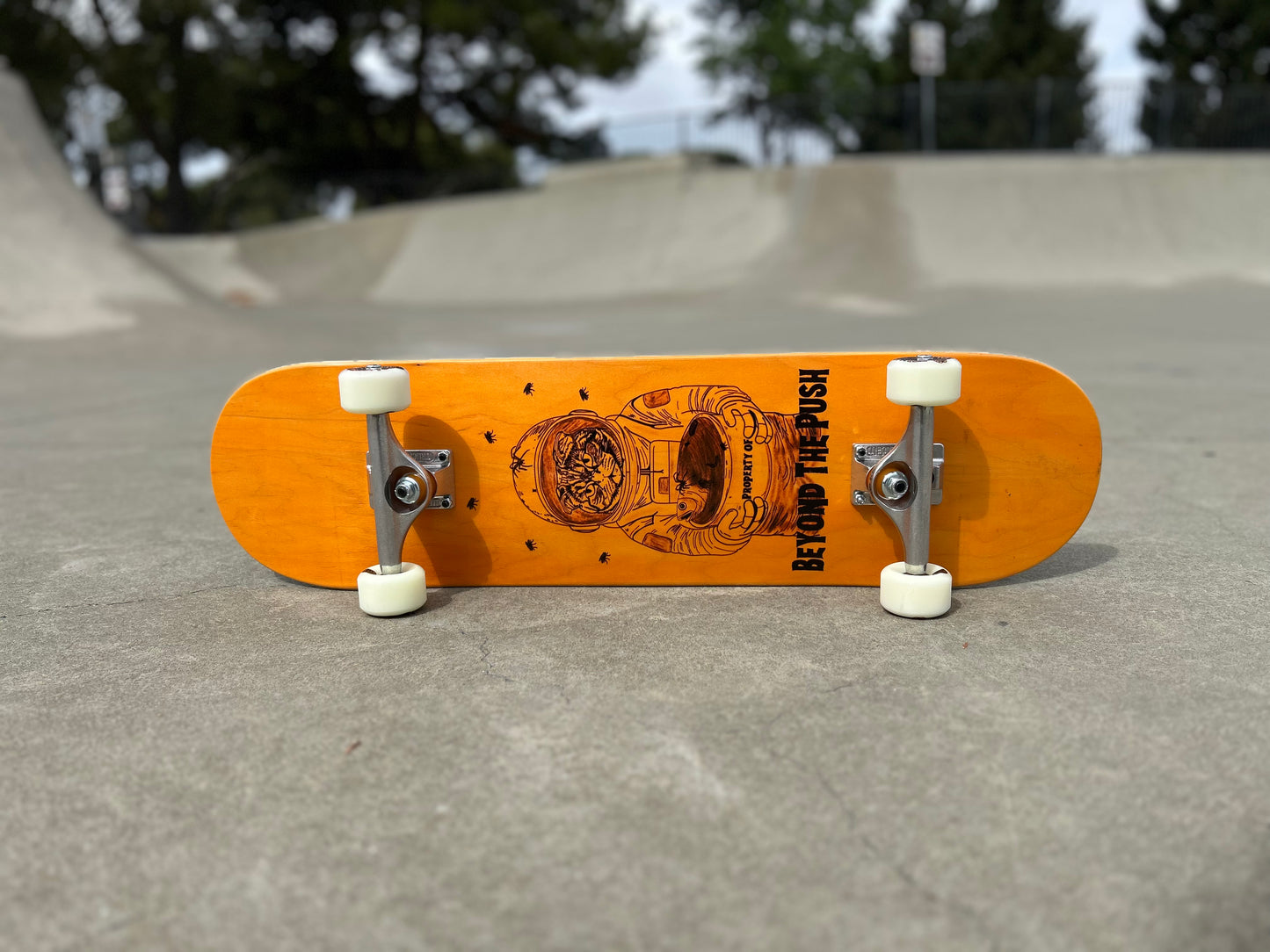 Beyond The Push — Limited Halloween Skateboard Deck