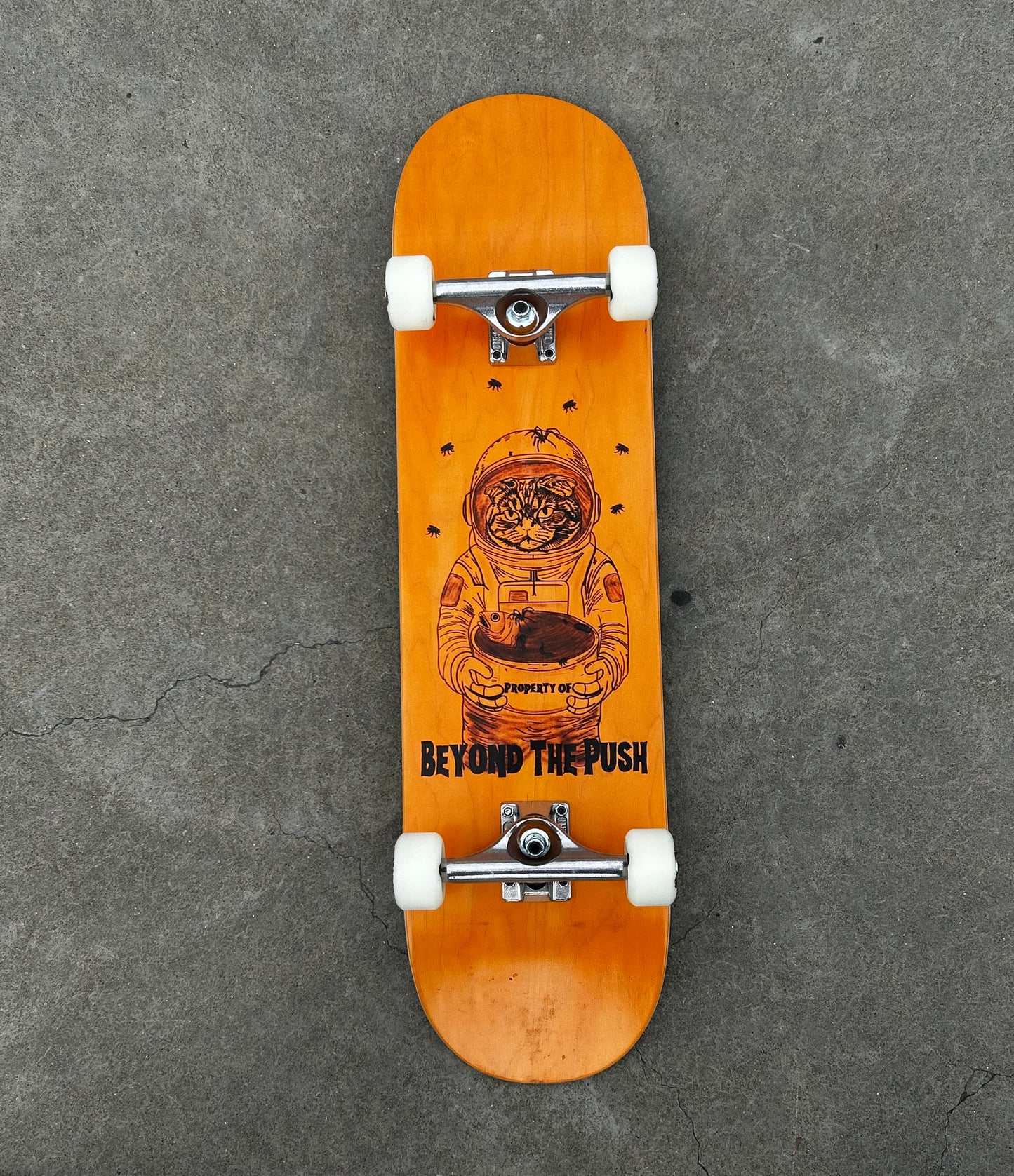 Beyond The Push — Limited Halloween Skateboard Deck